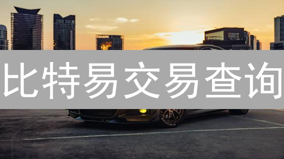 比特易交易查询：昔日明星功能如何助力加密货币投资决策？