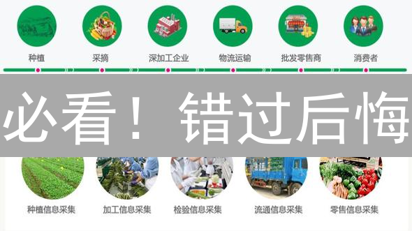 必看！错过后悔：颠覆行业的区块链项目深度解析，最后机会！