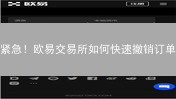 紧急！欧易交易所如何快速撤销订单？避坑指南来了！