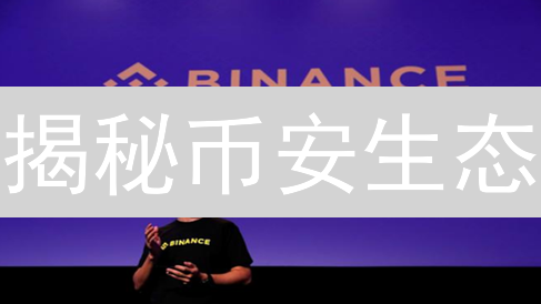 揭秘币安生态：远不止交易所？投资机会深度解析！
