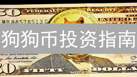 狗狗币投资指南：新手也能快速入门？三大购买策略揭秘！