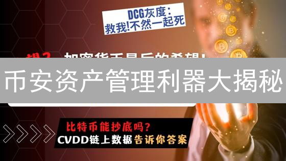 币安资产管理利器大揭秘：新手也能轻松玩赚数字货币？