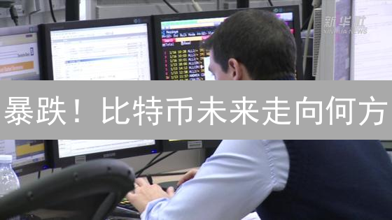 暴跌！比特币未来走向何方？深度解析与投资策略