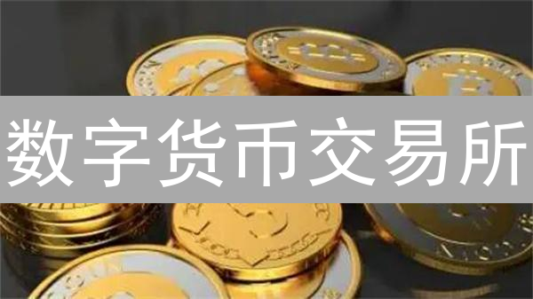 数字货币交易所：如何选择安全可靠的平台？新手必备指南！