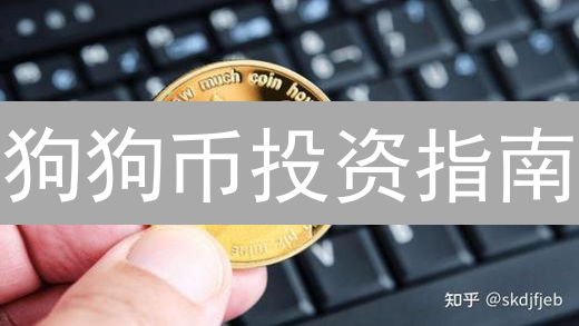 狗狗币投资指南：交易所深度测评，避坑指南！