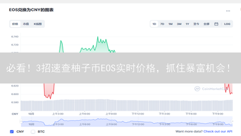 必看！3招速查柚子币EOS实时价格，抓住暴富机会！