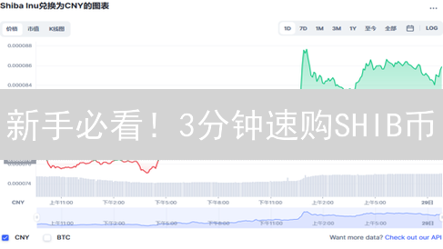 新手必看！3分钟速购SHIB币？币安购买全攻略！