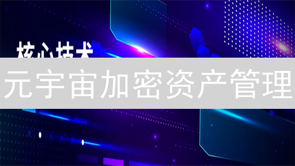 元宇宙加密资产管理：5大平台终极对比，哪个更安全？