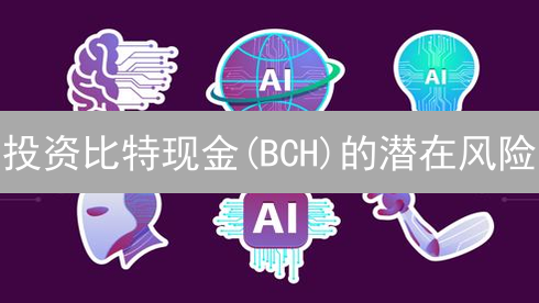 投资比特现金(BCH)的潜在风险：技术、中心化及监管分析