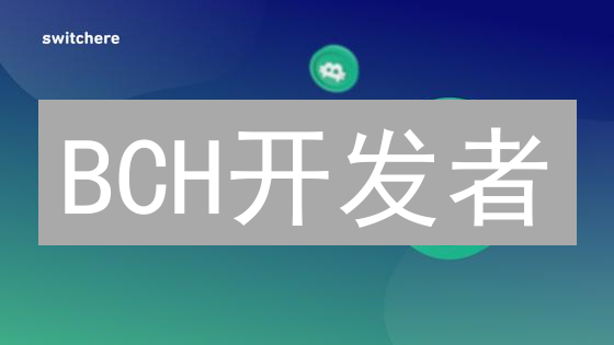 BCH开发者：扩容争议与技术演变，未来何去何从？