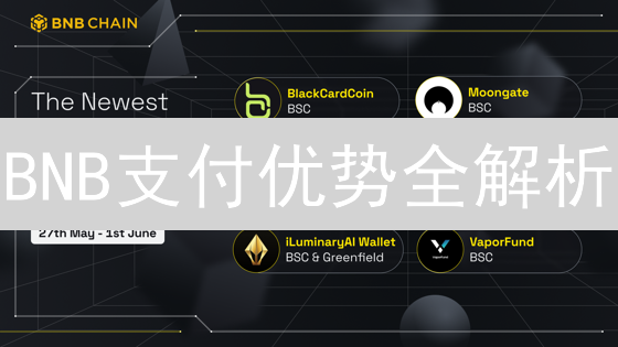 BNB支付优势全解析：省钱、便捷，你不可错过的数字资产!
