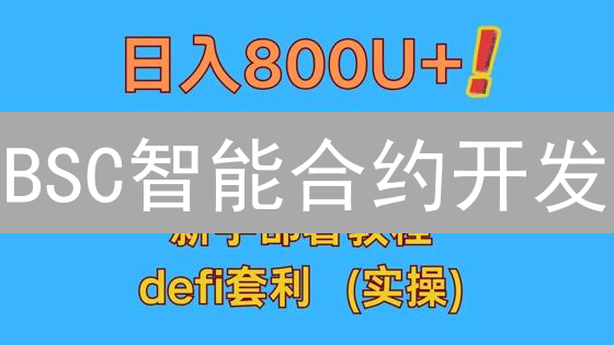 BSC智能合约开发：新手入门指南，一文搞定！