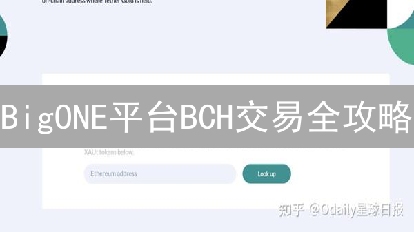 BigONE平台BCH交易全攻略：安全、费用、体验深度评测！