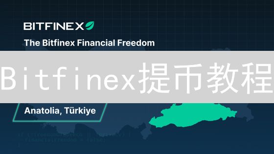 Bitfinex提币教程：5分钟学会安全提现，避免资金损失？