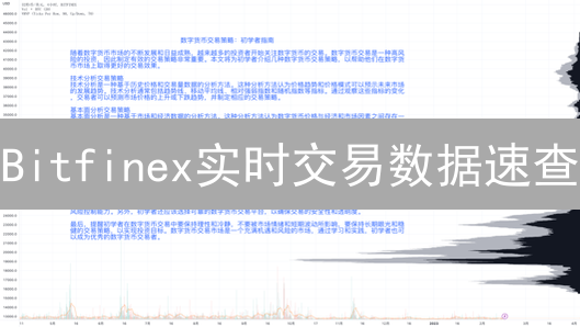 Bitfinex实时交易数据速查：API、三方平台与可视化工具全攻略！