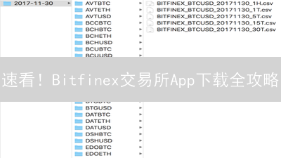速看！Bitfinex交易所App下载全攻略：新手也能轻松上手