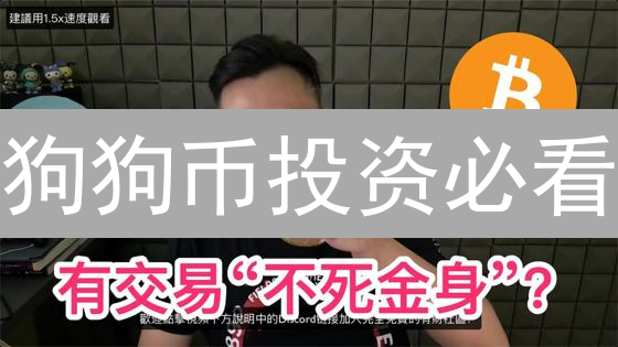 狗狗币投资必看：Bitget交易技巧、风险管理与长期持有策略！