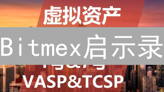 Bitmex启示录：虚拟资产管理的得与失【深度剖析】