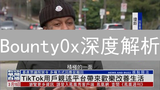 Bounty0x深度解析：去中心化赏金平台，投资价值几何？