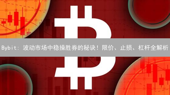 Bybit: 波动市场中稳操胜券的秘诀！限价、止损、杠杆全解析