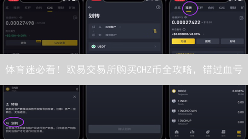 体育迷必看！欧易交易所购买CHZ币全攻略，错过血亏？