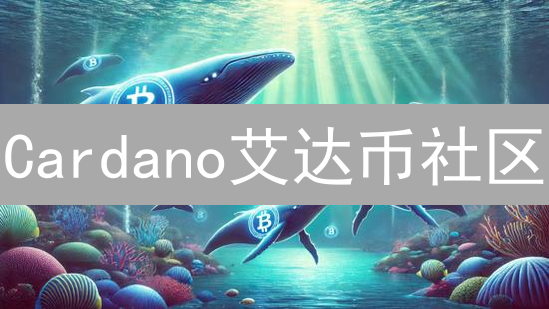 Cardano艾达币社区：你不可错过的创新狂欢？