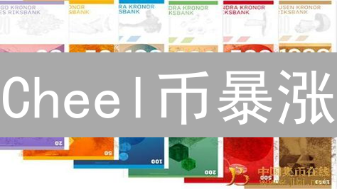 Cheel币暴涨？投资前必看：价值评估全攻略！