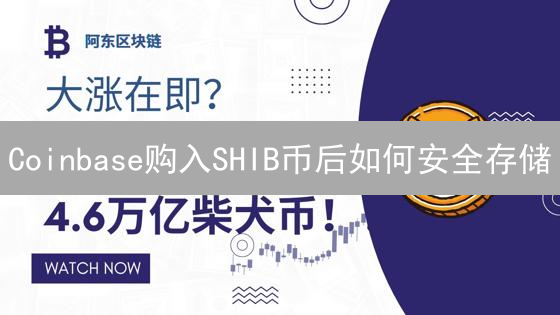 Coinbase购入SHIB币后如何安全存储？避坑指南！