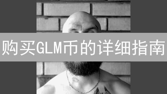 购买GLM币的详细指南：中心化交易所与去中心化选择