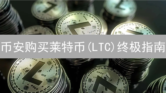 币安购买莱特币(LTC)终极指南：新手也能轻松上手！