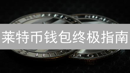 莱特币钱包终极指南：安全存储 LTC 的必备策略！
