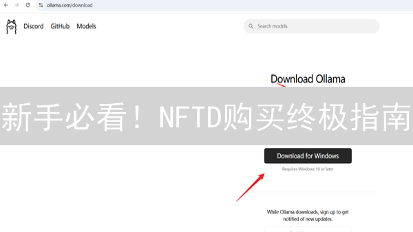 新手必看！NFTD购买终极指南：从入门到精通，避坑秘籍大公开！