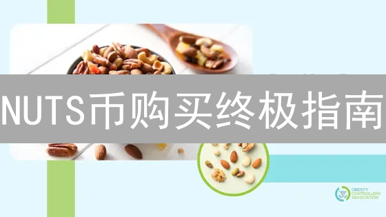 NUTS币购买终极指南：新手也能轻松上手！