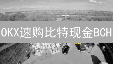 OKX速购比特现金BCH：新手指南 | 风险提示！