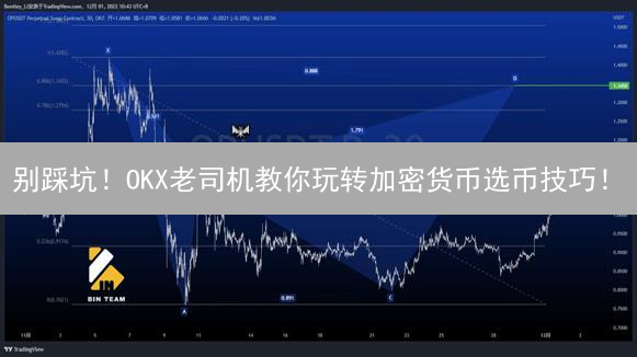 别踩坑！OKX老司机教你玩转加密货币选币技巧！