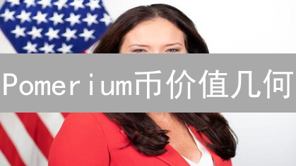 Pomerium币价值几何？多维度解读市场前景！