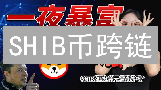 SHIB币跨链：打破以太坊枷锁，DeFi新机遇？如何实现？