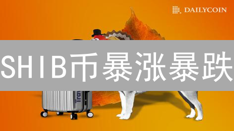 SHIB币暴涨暴跌？币安欧易风控揭秘！控制风险，稳健投资！