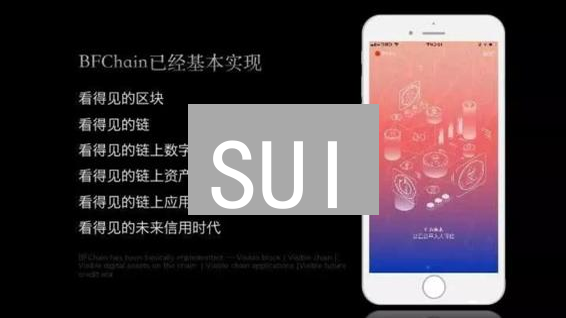 SUI：构建下一代数字资产的平行世界 | MystenLabs
