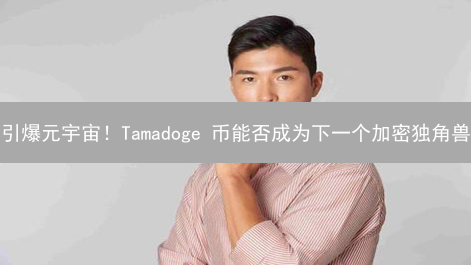 引爆元宇宙！Tamadoge 币能否成为下一个加密独角兽？