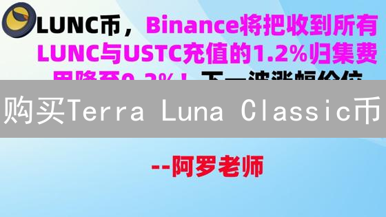 购买Terra Luna Classic币：一场高风险的投机之旅