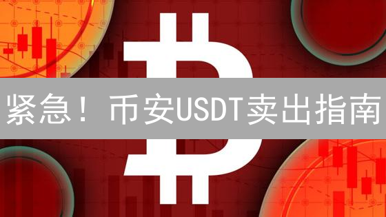 紧急！币安USDT卖出指南：新手必看，限时避坑攻略！