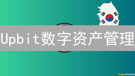 Upbit数字资产管理：历史查询、税务申报与策略复盘