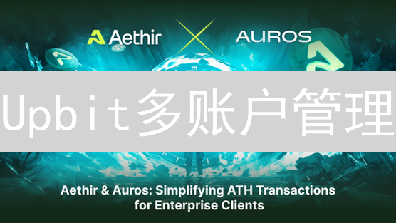 Upbit多账户管理：加密货币投资精细化策略