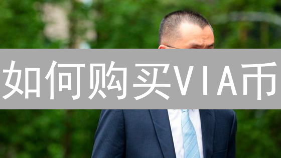 如何购买VIA币？什么是VIA币？新手入门指南
