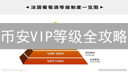 币安VIP等级全攻略：手续费折扣、专属服务，你也能成为VIP！