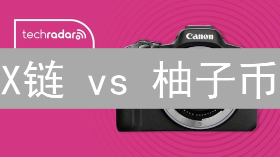 X链 vs 柚子币：谁是性能之王？深度对比揭秘！
